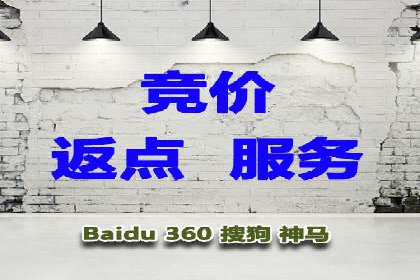 深度解析：百度推广代运营的成功要素
